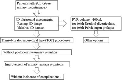 Significance of 4D US parameters for the clinical treatment of female patients with stress urinary incontinence